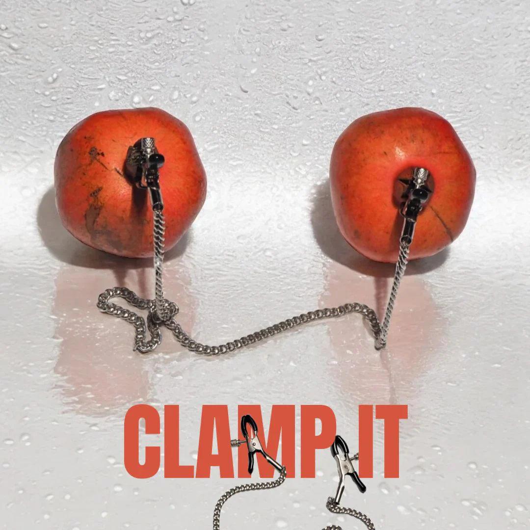 Nipple Clamps With Chain - Image 5